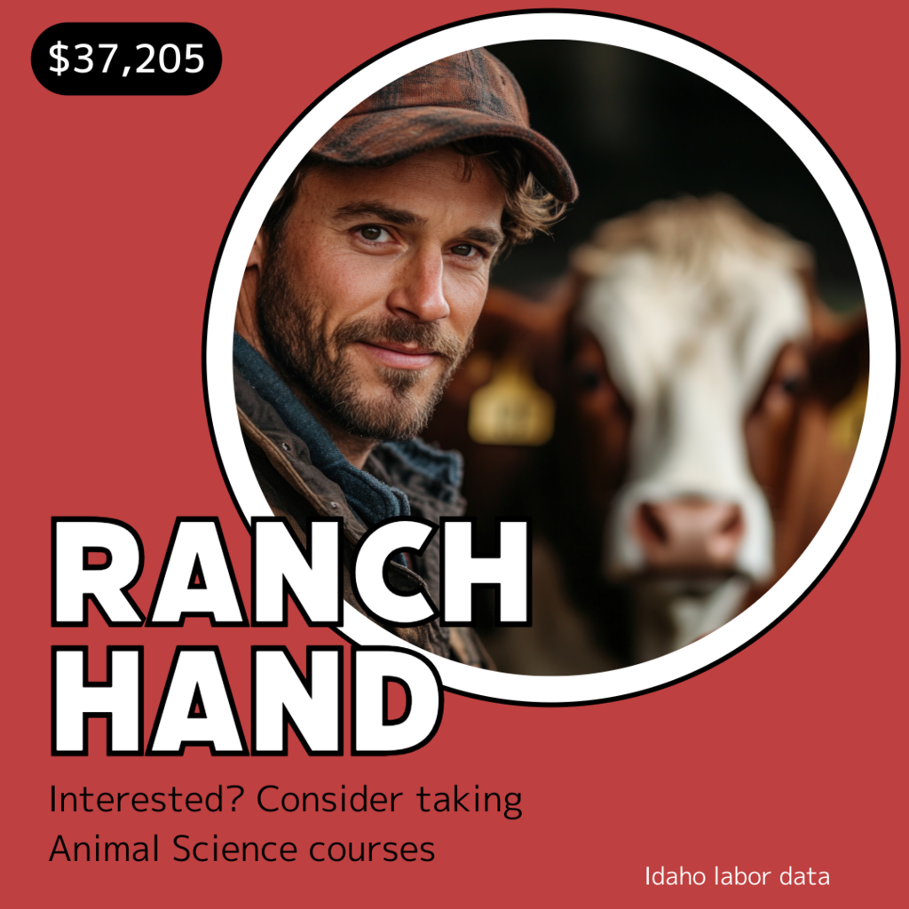 Ranch Hand