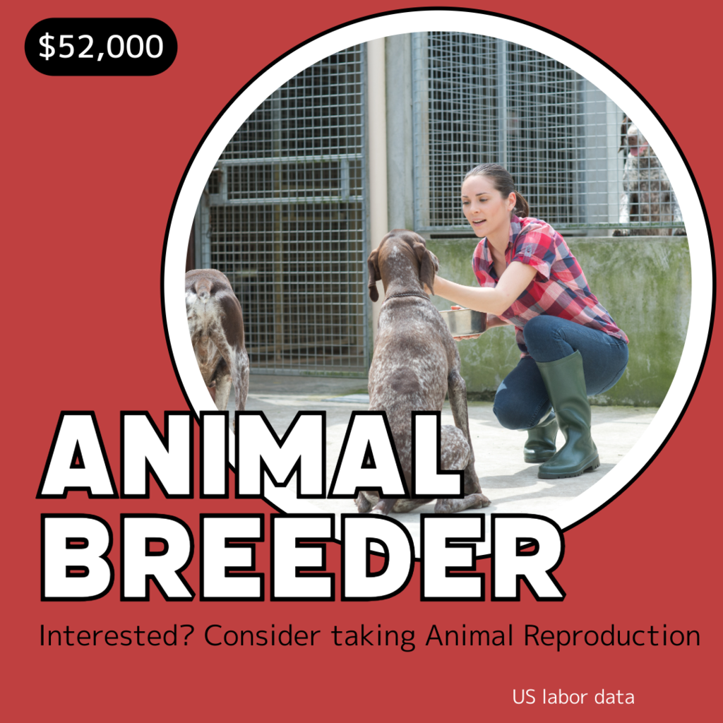 Animal Breeder