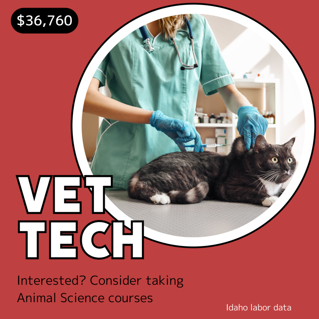 Vet Tech