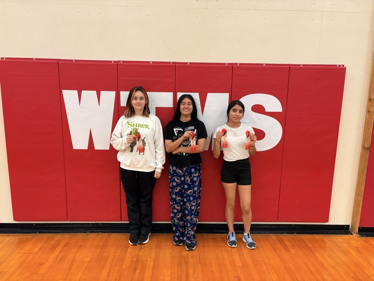 medley relay team pic