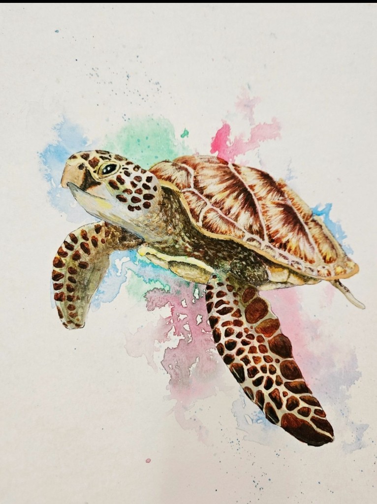 turtle