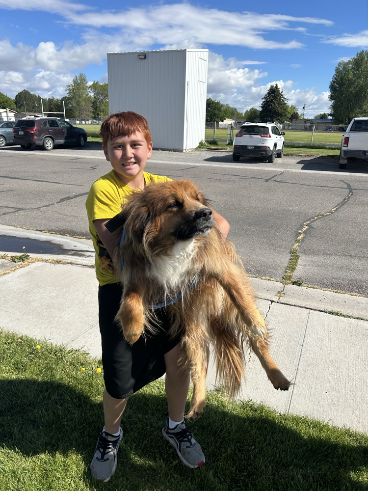 pet pic 8