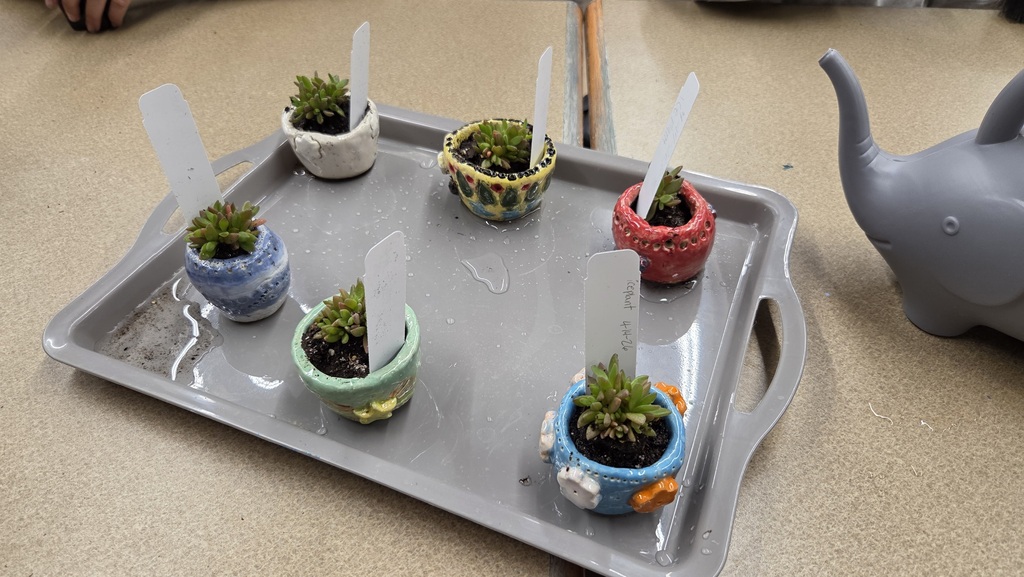 FFA members teaching 5th graders about potting-3