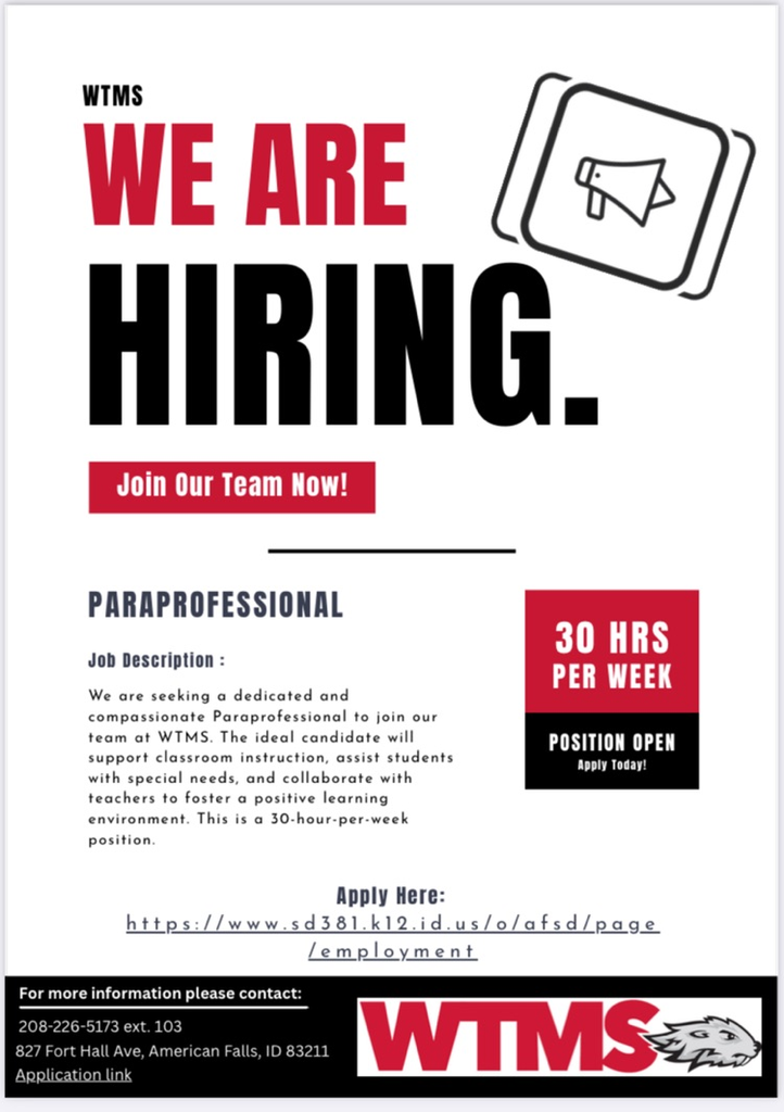 flier