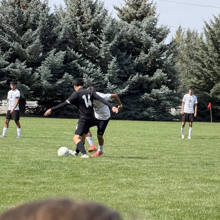 bb