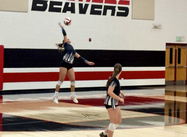 VB