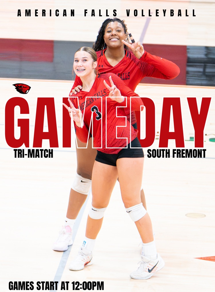 Volleyball Gameday