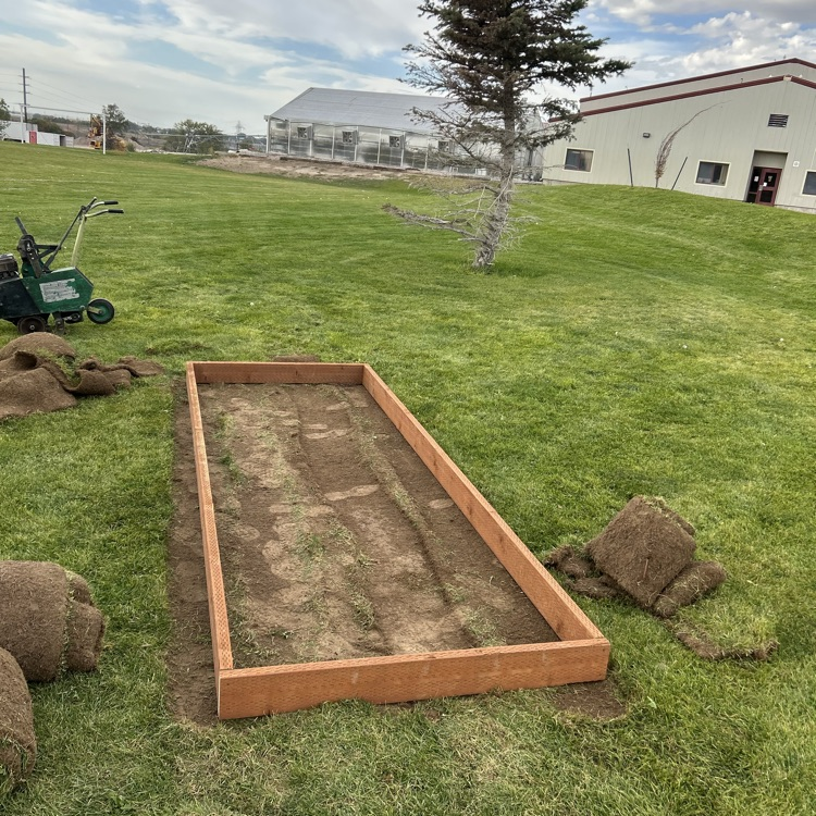 tee box