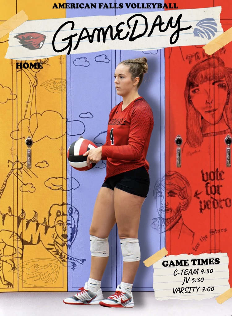 Volleyball GAMEDAY