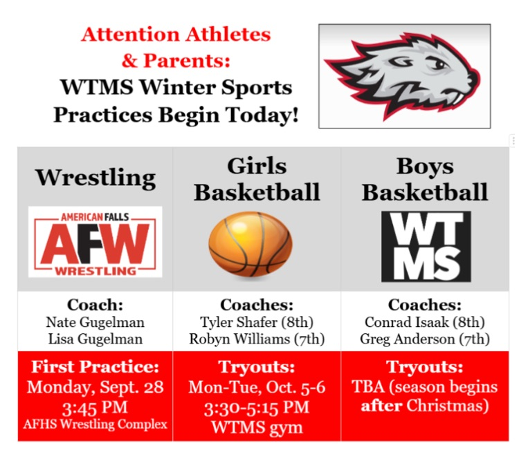 winter sports info 