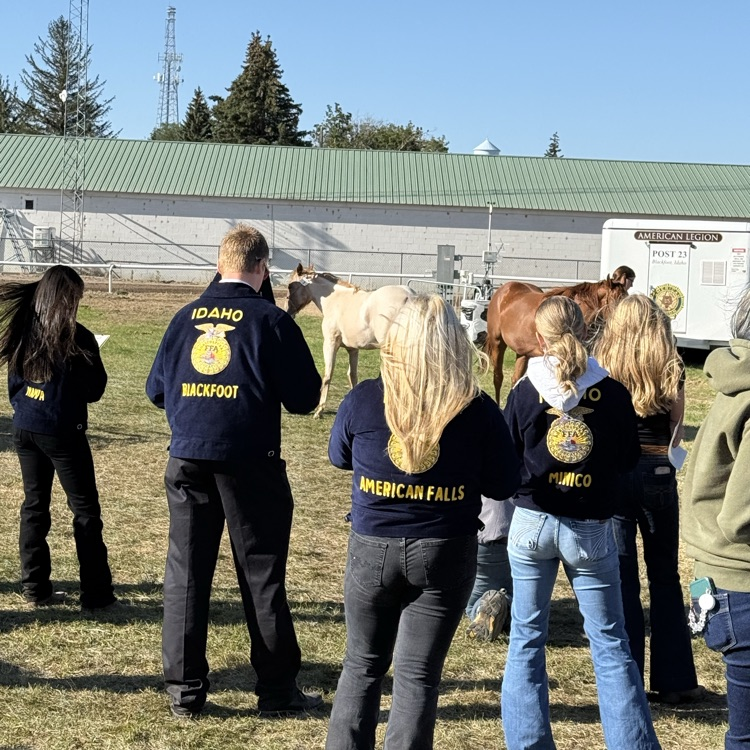 American Falls FFA members judging a class of horses. 