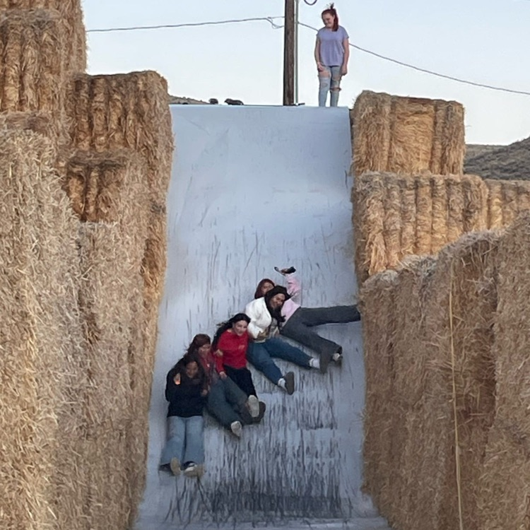 American Falls FFA members on the slide at the Burley Hay Maze.
