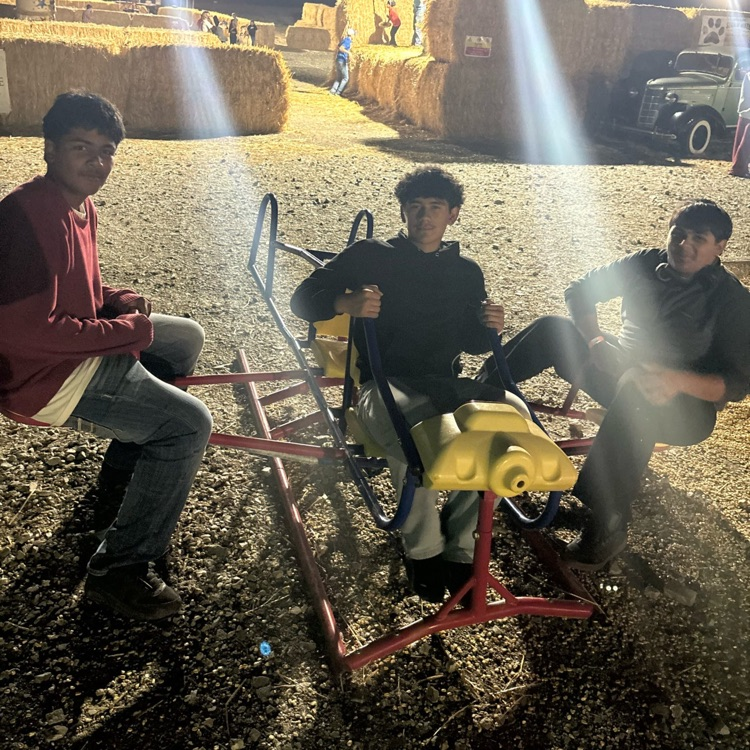 American Falls FFA members on the seesaw at the Burley Hay Maze.