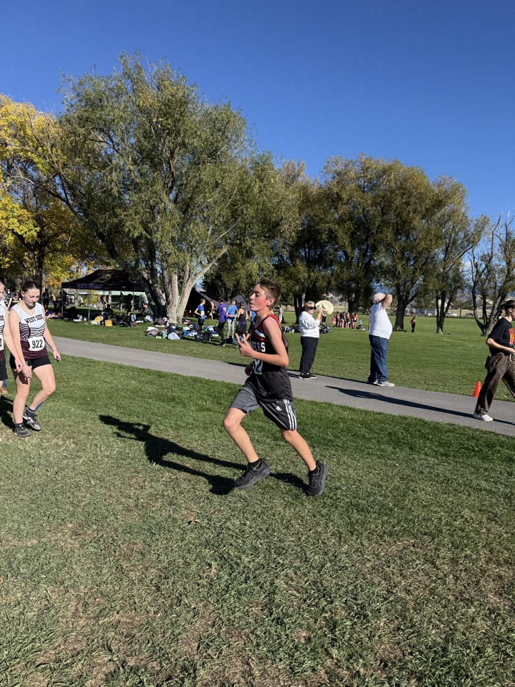 Cross Country Runner