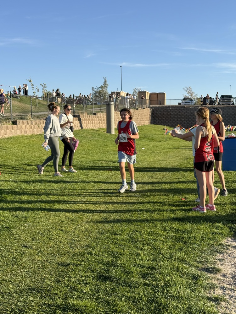 Cross Country Runner