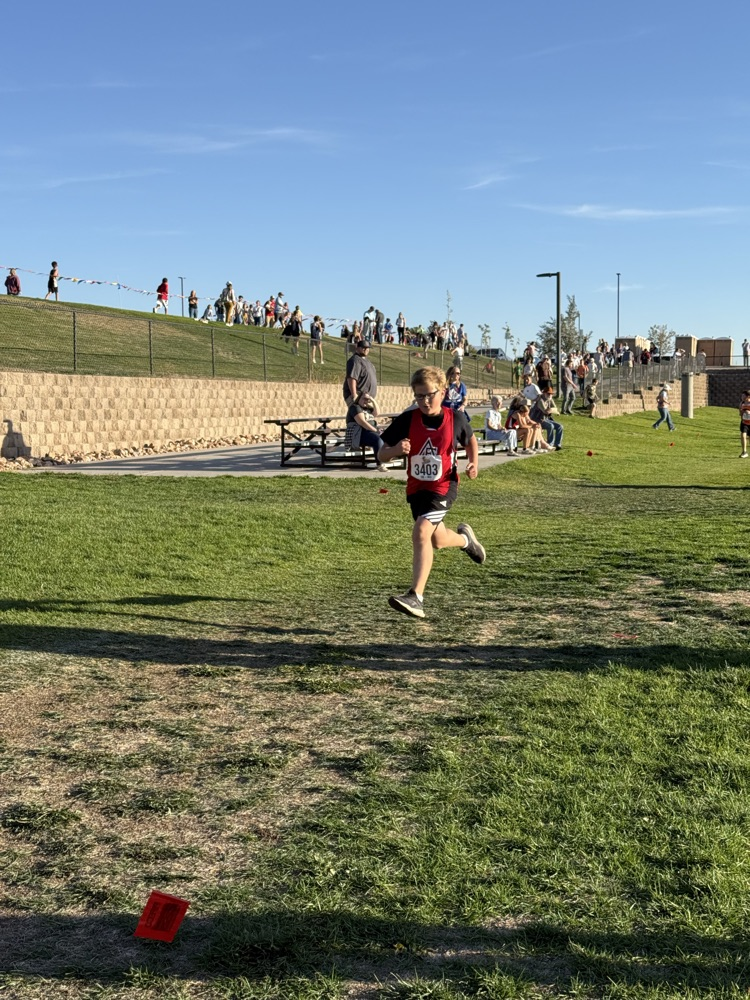 Cross Country Runner