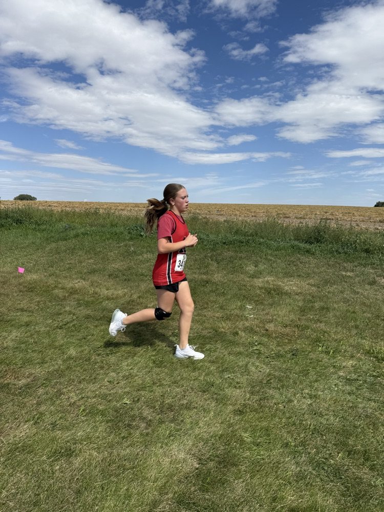 Cross Country Runner