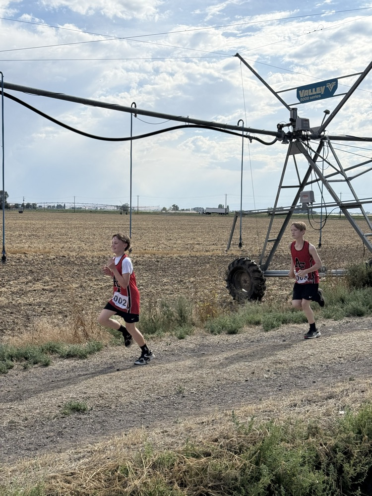 Cross Country Runner