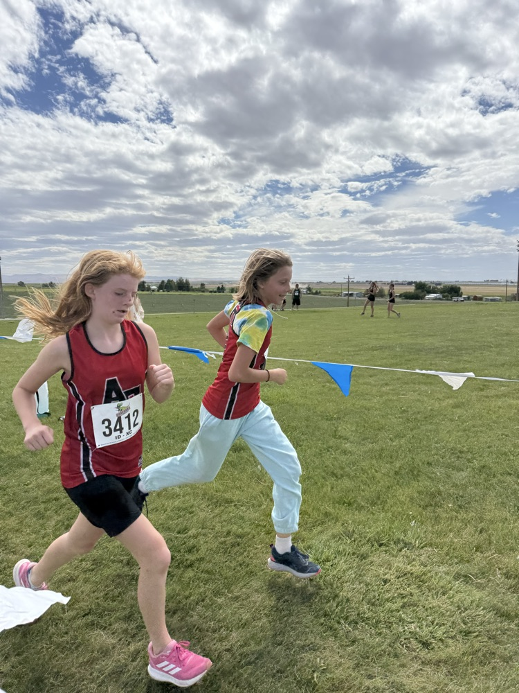 Cross Country Runner