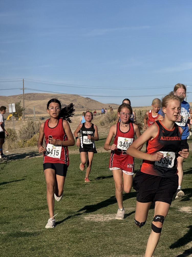 Cross Country Runner