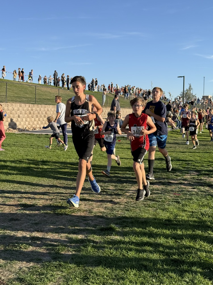 Cross Country Runner