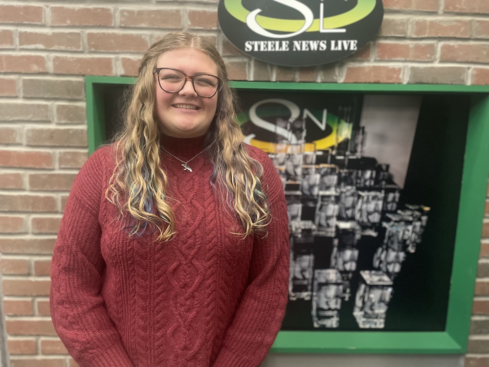 Steele Dazzle Award Student