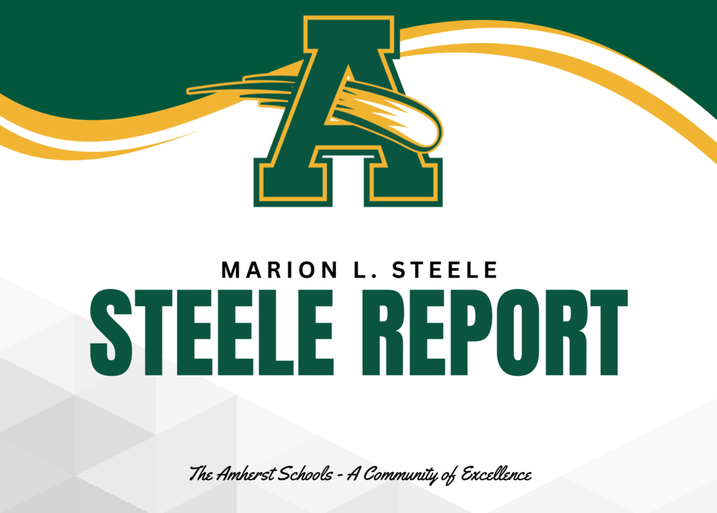 Steele Report Landing Graphic