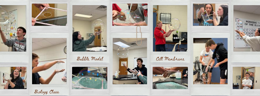 Sophomore students biology bubble lab