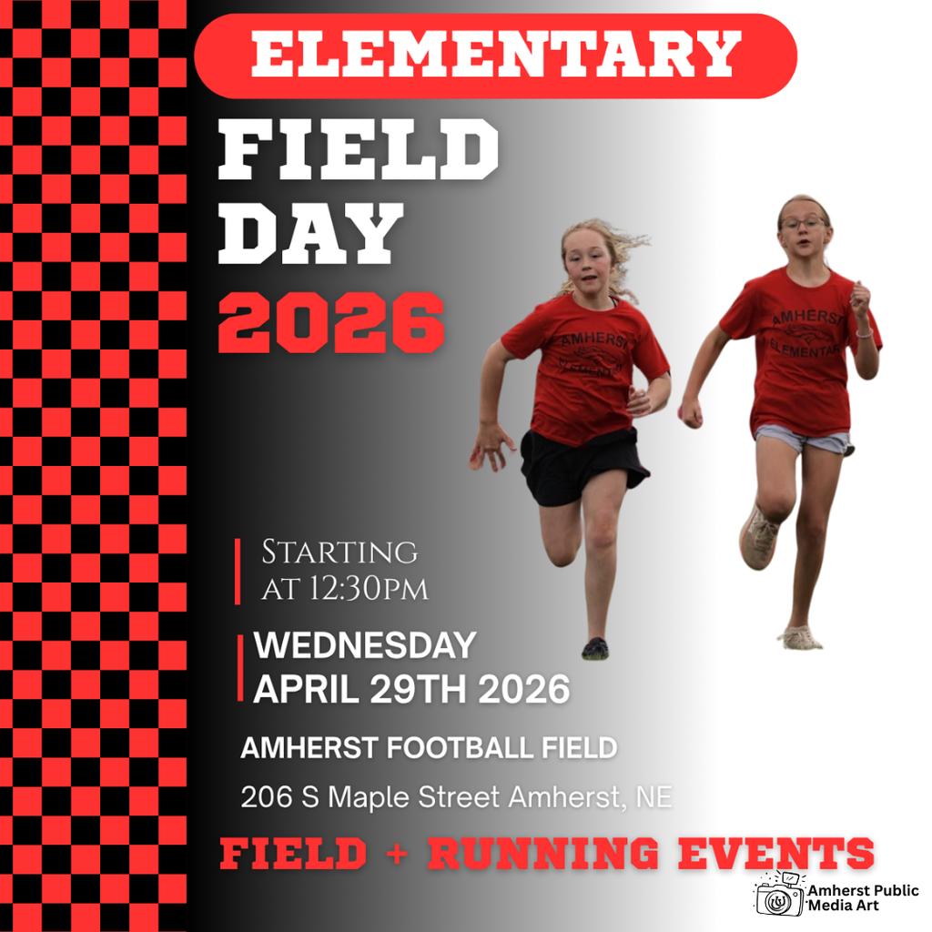Elementary Field Day 