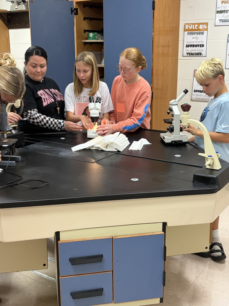7th graders using microscopes in science class