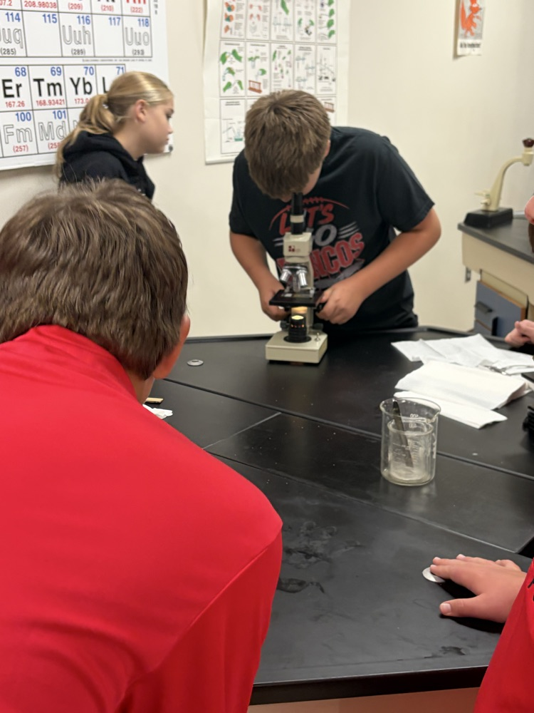 7th graders using microscopes in science class