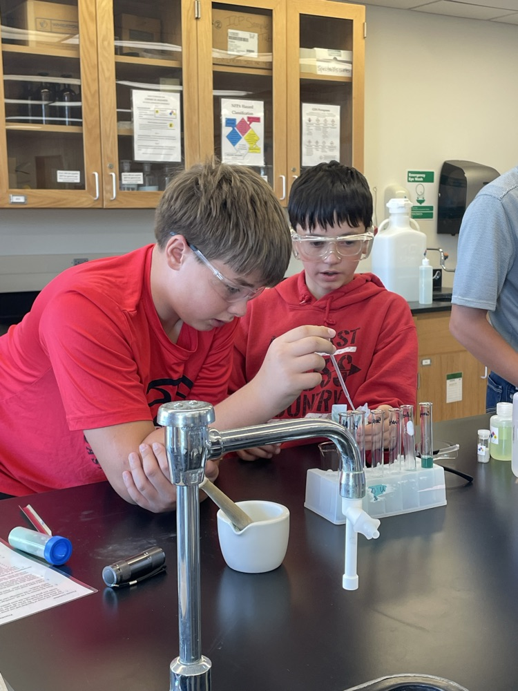 adding the protein to the bases