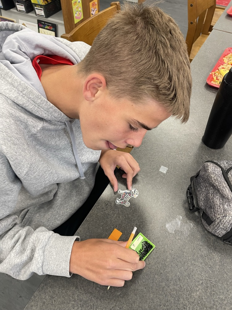 high school kid working on diamond art
