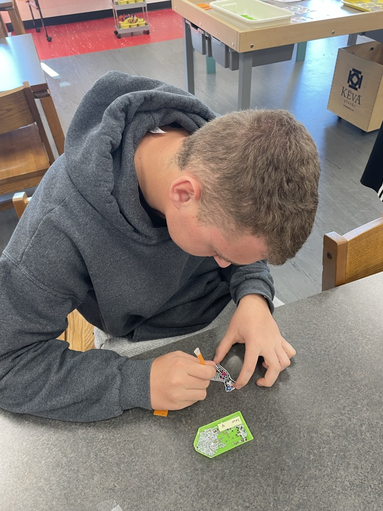 high school kid working on diamond art