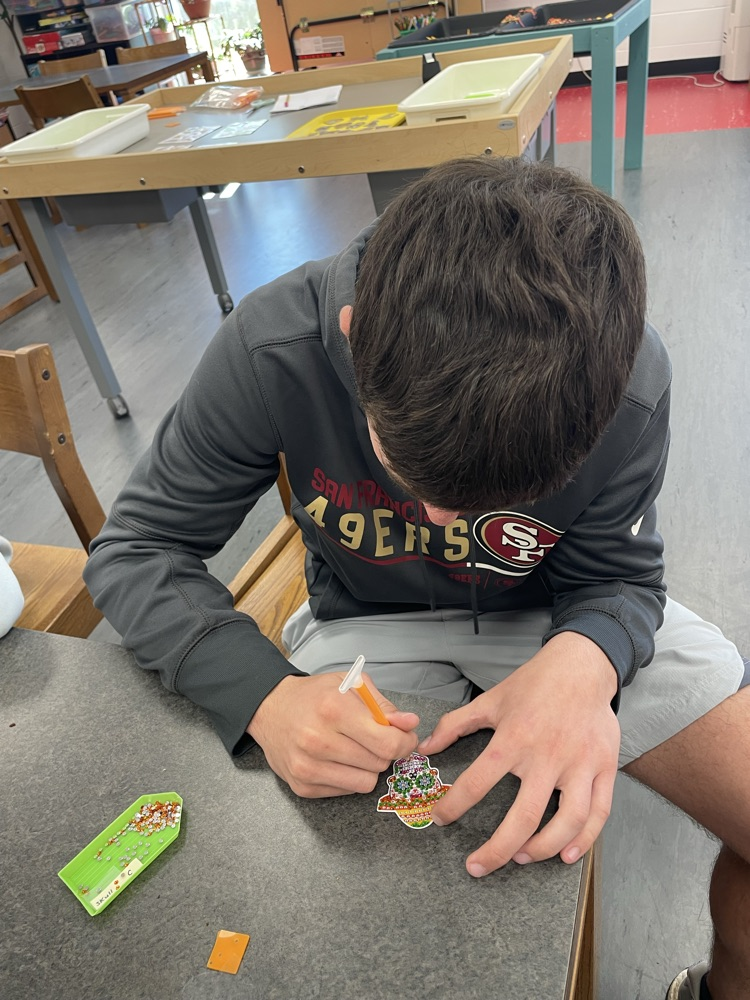 high school diamond art