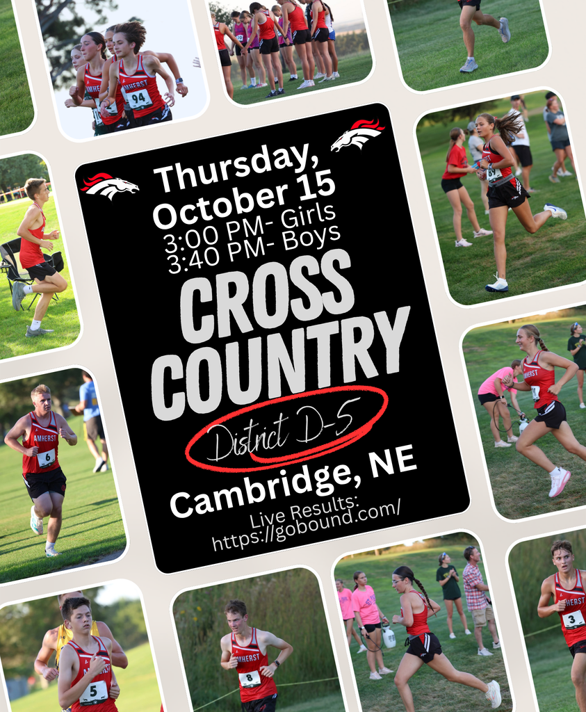 District Cross Country information surrounded by photos of Amherst runners