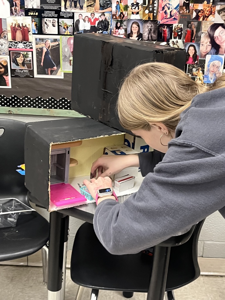 Spanish II students designed and built model mansions in class. They created plans, constructed their houses in groups, and labeled everything inside and out in español. Welcome to our neighborhood!