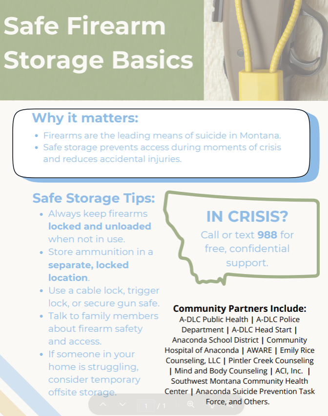 Safe Firearm Storage Basics
