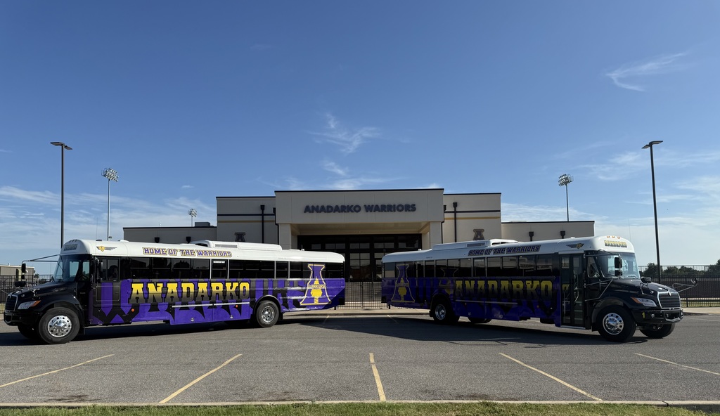 Activity Buses