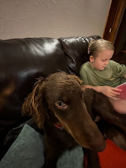 Read Aloud Challenge
