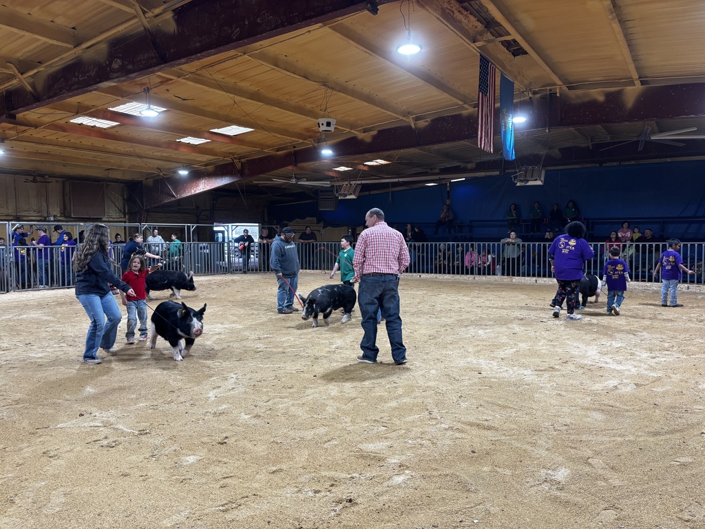 Special Needs Livestock Show