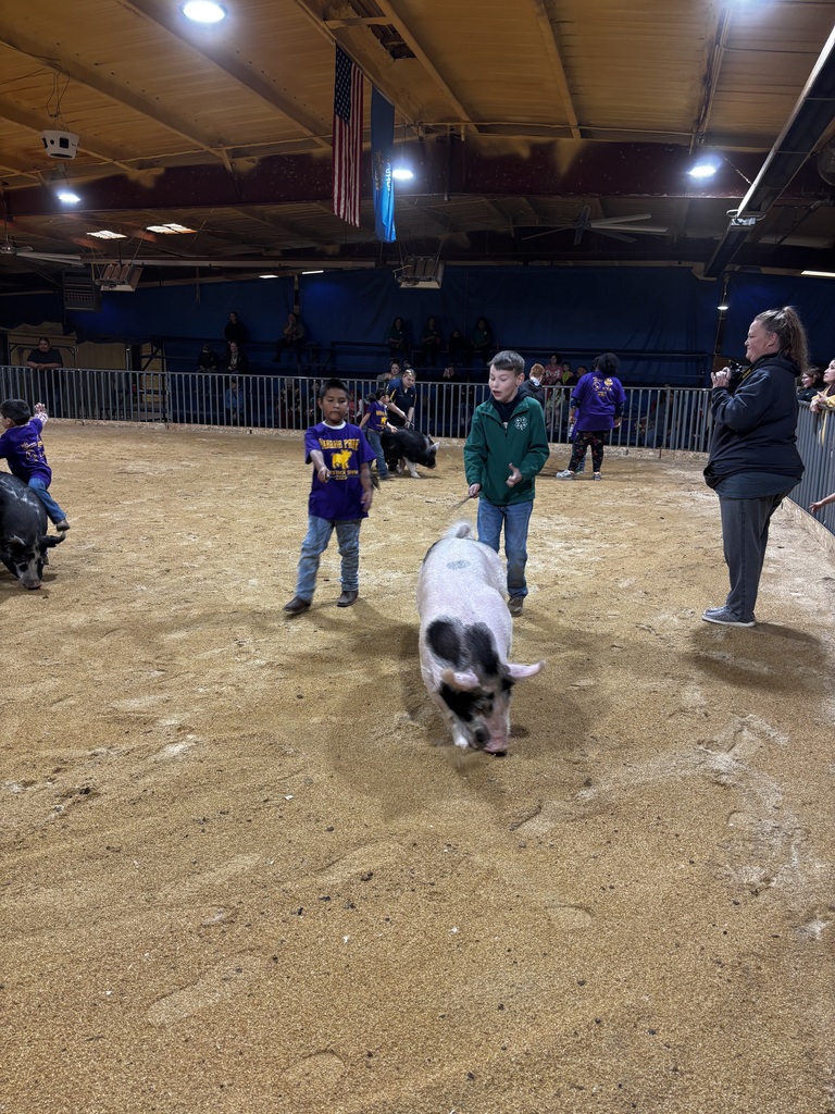 Special Needs Livestock Show