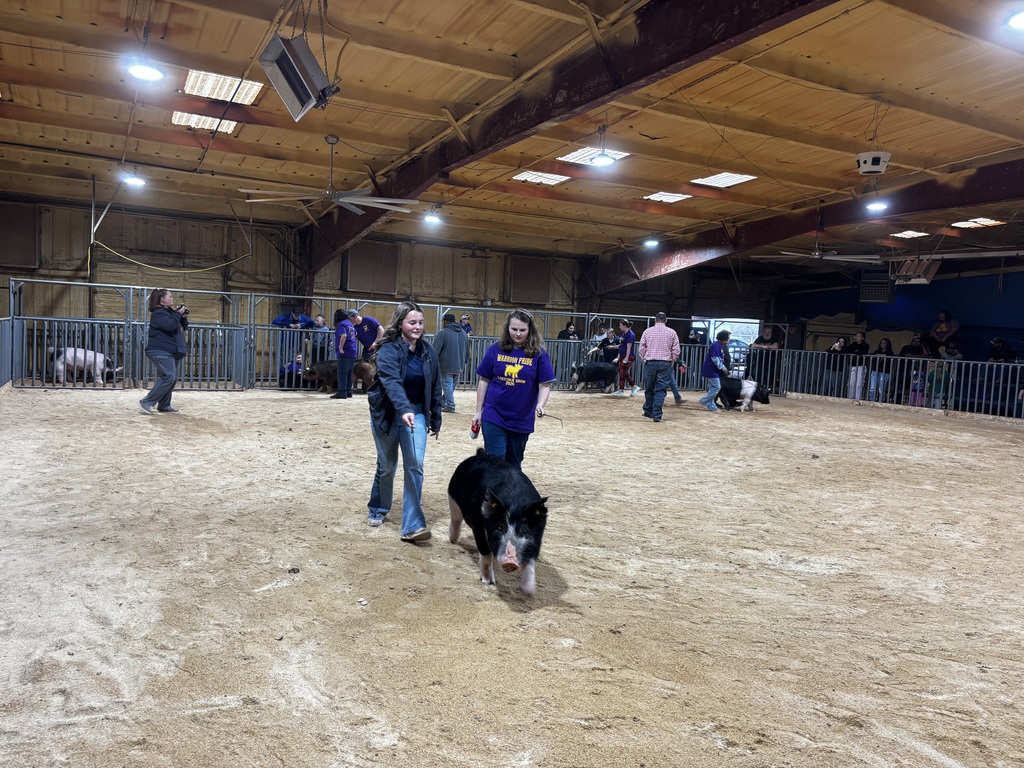 Special Needs Livestock Show
