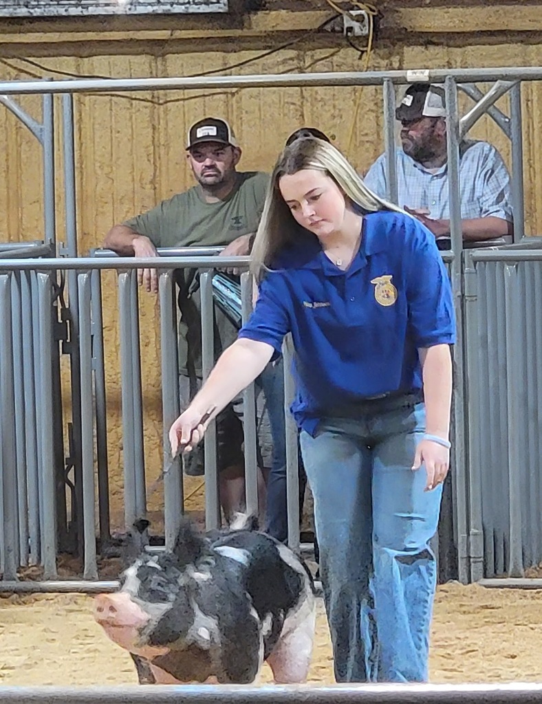 Stock Show