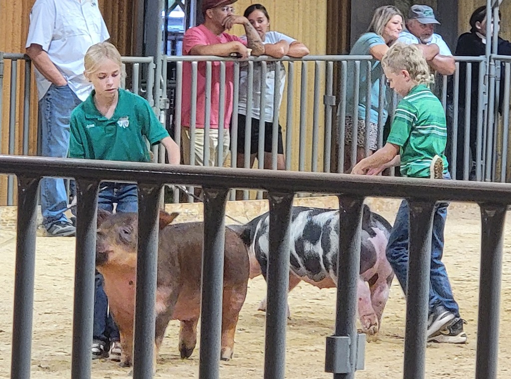 Stock Show