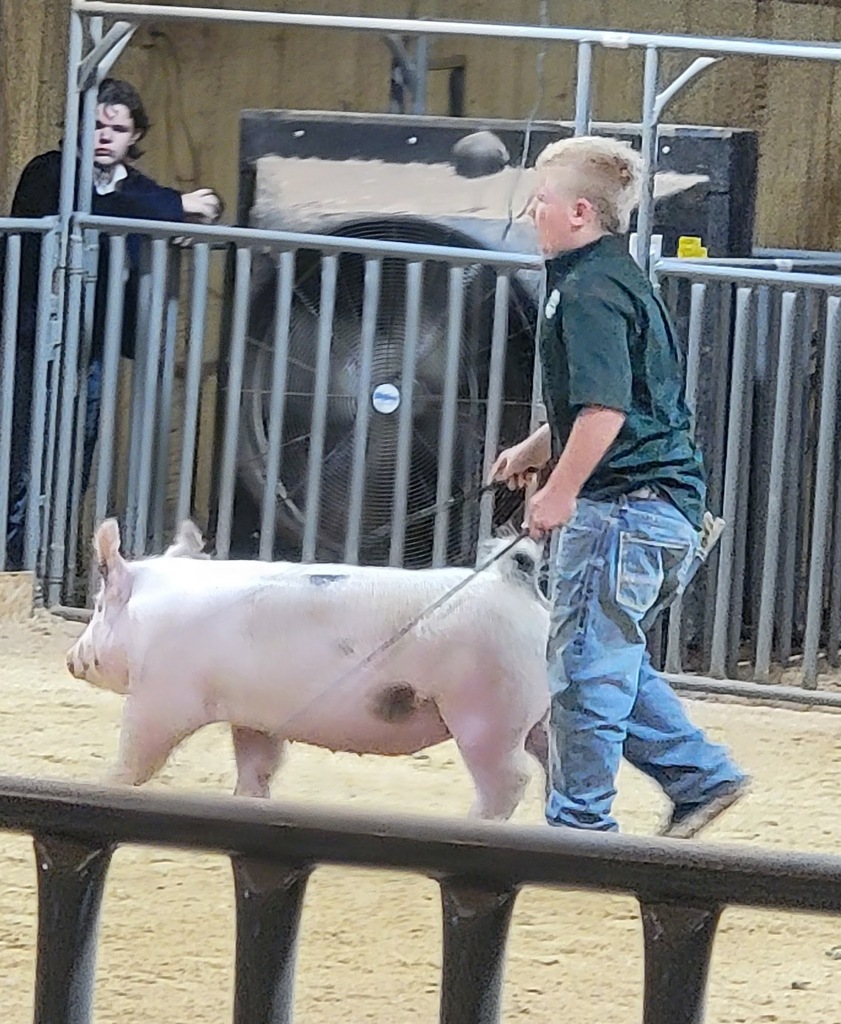 Stock Show