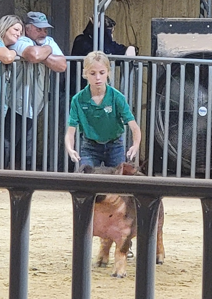 Stock Show