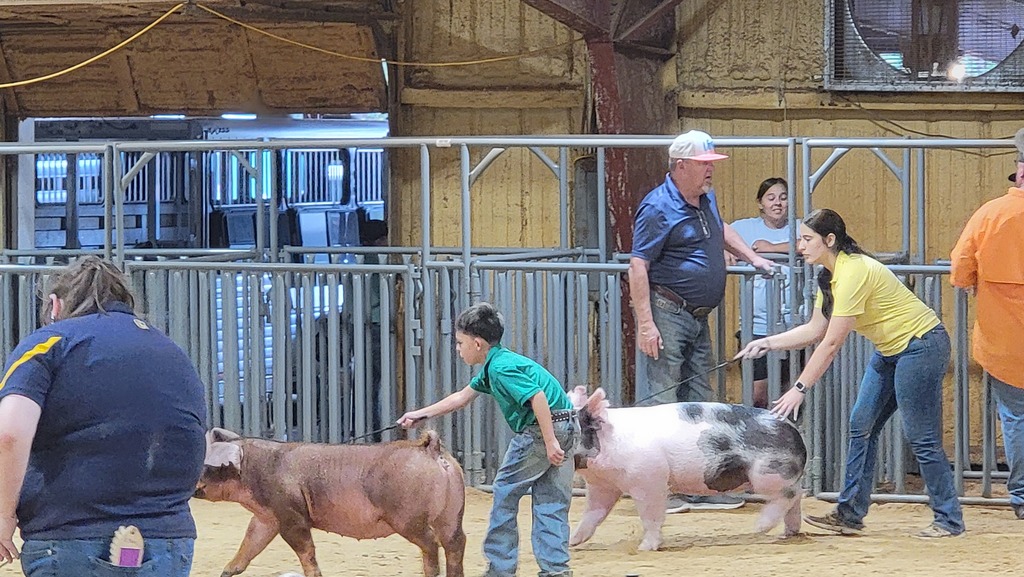 Stock Show