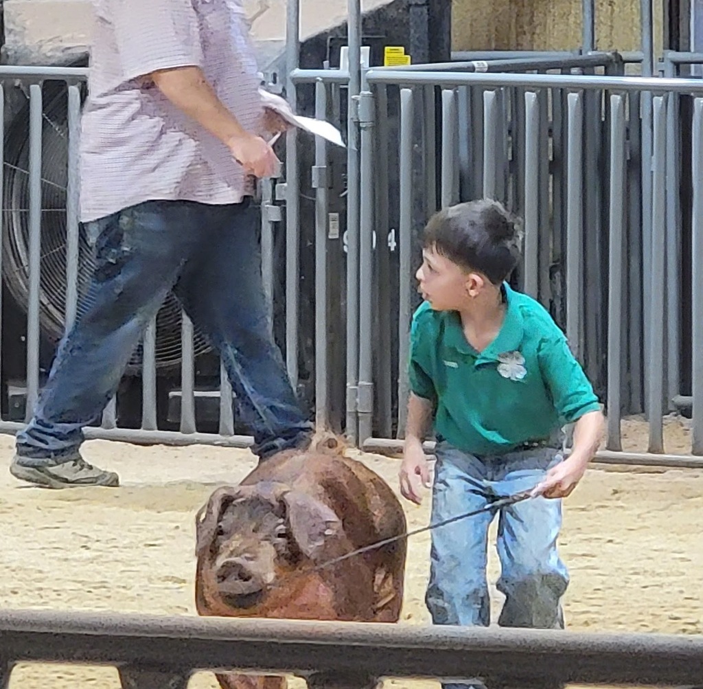 Stock Show