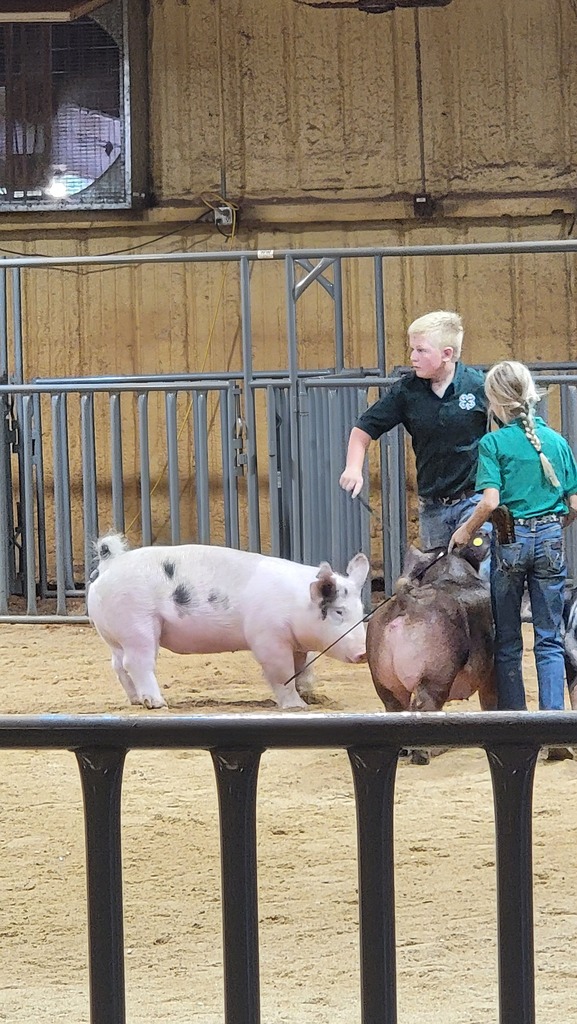 Stock Show
